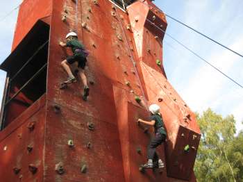 Cubs Climbing